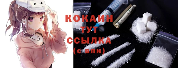spice Арсеньев