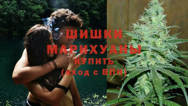 spice Арсеньев