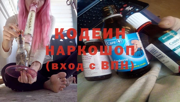 шишки Армянск