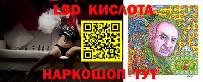 прущие грибы Кунгур