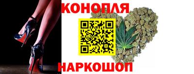 прущие грибы Кунгур