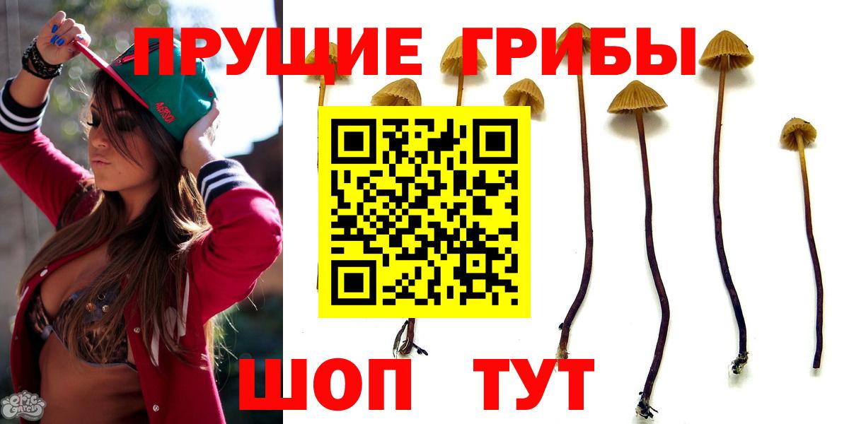 Псилоцибиновые грибы Psilocybine cubensis  Галлюциногенные грибы Magic Shrooms  Вход с VPN  Качканар 
