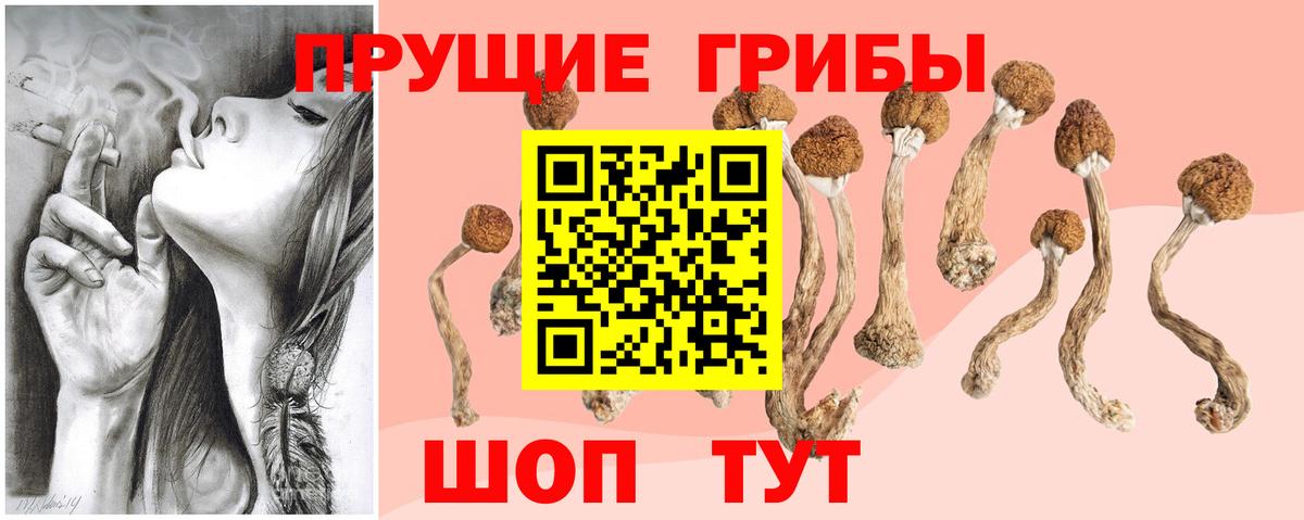 Галлюциногенные грибы прущие грибы Качканар